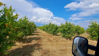 Αγροτεμάχια 18.650 τ.μ. για πώληση, Ν. Σερρών, Νιγρίτα-thumb-4