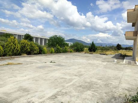 Business bulding 300 sqm for rent