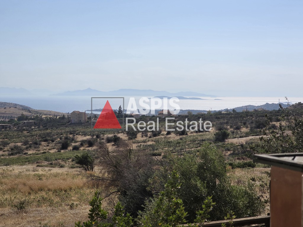 Βίλλα 470 τ.μ. προς ενοικίαση, Λαγονήσι