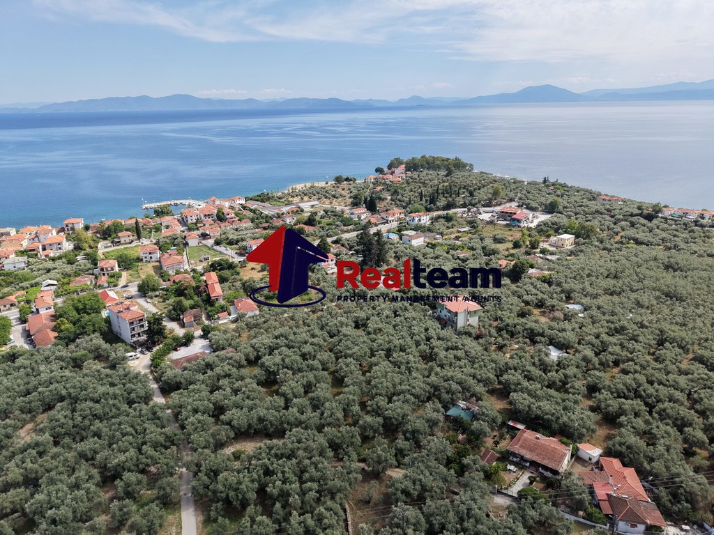 Οικόπεδο 4.556 τ.μ. πρός πώληση, Μαγνησία, Μηλιές