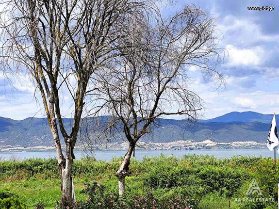 Business bulding 540 sqm for sale, Thessaloniki - Rest Of Prefecture, Maditos