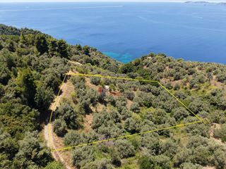 Αγροτεμάχια 4.081 τ.μ. για πώληση