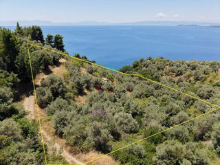 Αγροτεμάχια 8.000 τ.μ. για πώληση