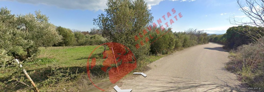 Οικόπεδο 5.094 τ.μ. πρός πώληση, Εβρος, Αλεξανδρούπολη