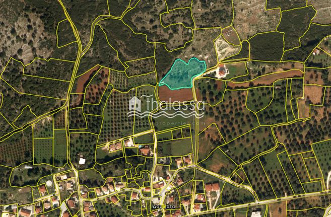 Land plot 4.202 sqm for sale, Kefallinia Prefecture, Kefalonia