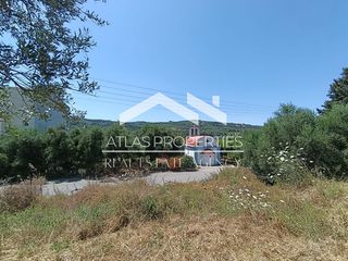 Οικόπεδο 1.352 τ.μ. προς πώληση, Σιρίλι-thumb-5