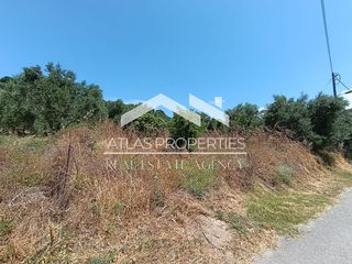 Οικόπεδο 1.352 τ.μ. προς πώληση, Σιρίλι-thumb-2