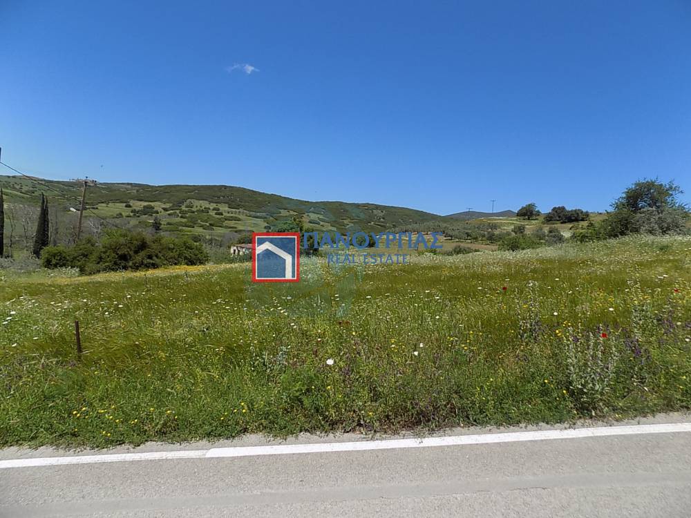 Οικόπεδο 4.366 τ.μ. προς πώληση, Γραμμένη Μακρακώμης