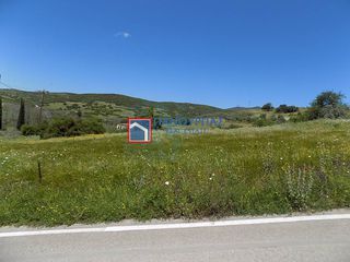 Οικόπεδο 4.366 τ.μ. για πώληση, Φθιώτιδας, Μακρακώμη-thumb-1