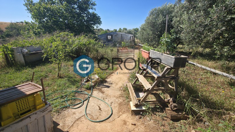 Αγροτεμάχια 2.500 τ.μ. πρός πώληση, Εβρος, Αλεξανδρούπολη