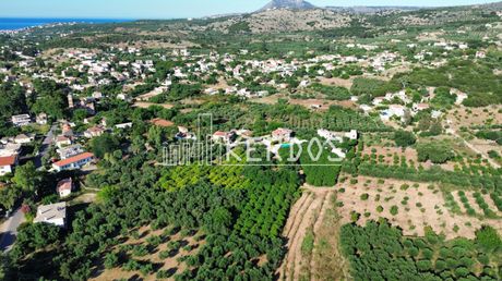 Αγροτεμάχια 2.339 τ.μ. πρός πώληση