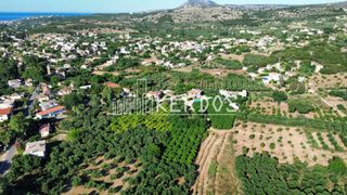 Αγροτεμάχια 2.339 τ.μ. για πώληση