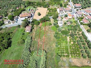Οικόπεδο 2.000,32 τ.μ. για πώληση, Μεσσηνία, Μεσσήνη-thumb-1