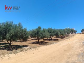 Οικόπεδο 451,20 τ.μ. για πώληση