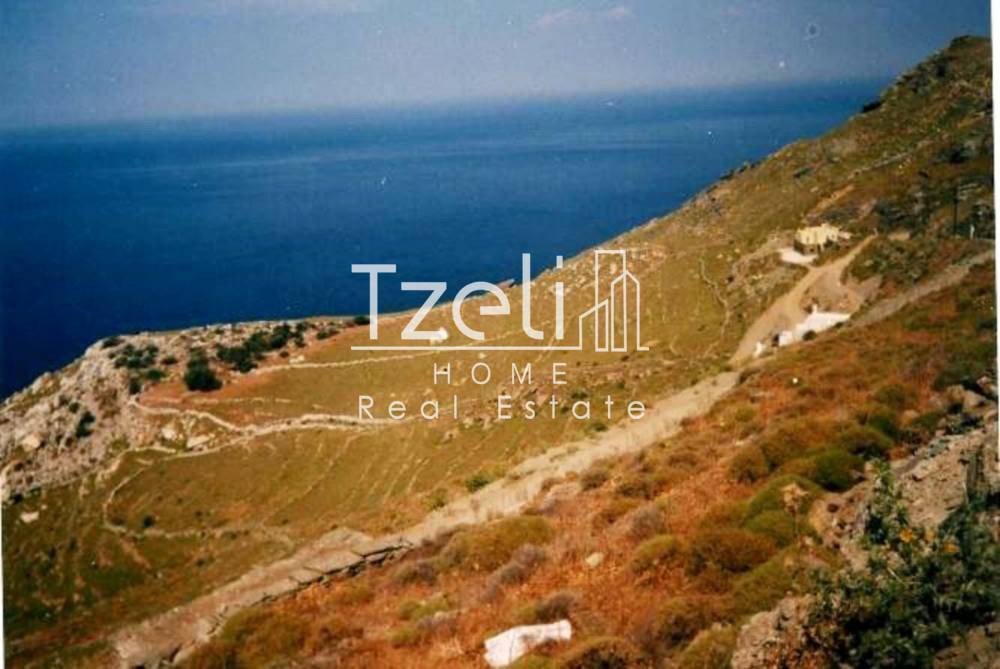 Αγροτεμάχια 55.000 τ.μ. προς πώληση, Καστριανή