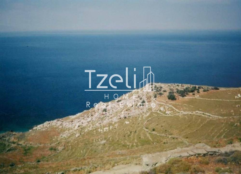 Αγροτεμάχια 55.000 τ.μ. προς πώληση, Καστριανή