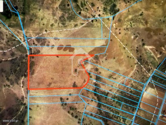 Parcel 22.100 sqm for sale, Trikala Prefecture, Trikala