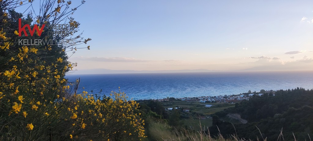 Αγροτεμάχια 5.232 τ.μ. προς πώληση, Νέα Σκιώνη