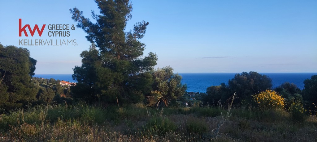 Αγροτεμάχια 5.232 τ.μ. προς πώληση, Νέα Σκιώνη
