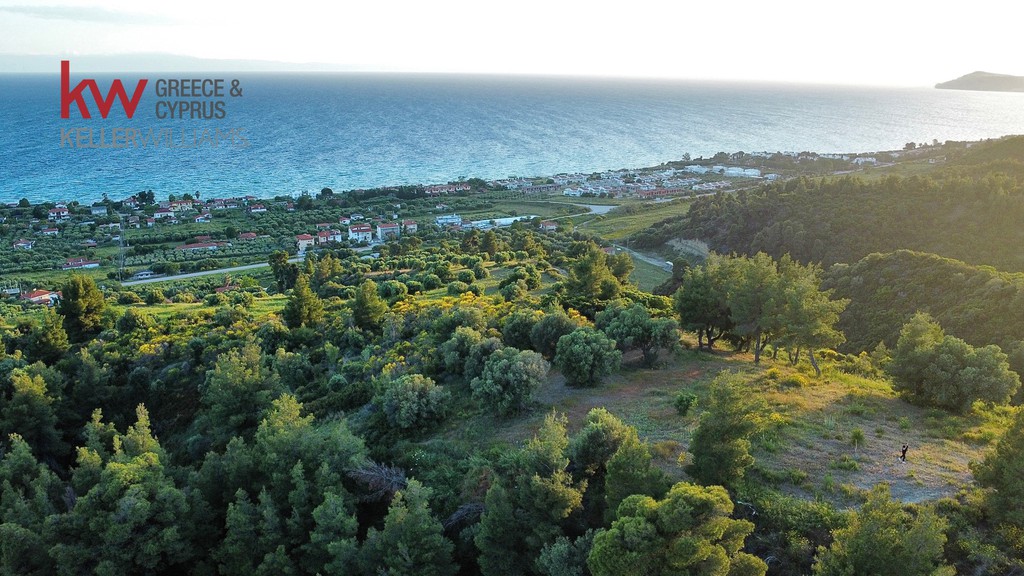 Αγροτεμάχια 5.232 τ.μ. προς πώληση, Νέα Σκιώνη