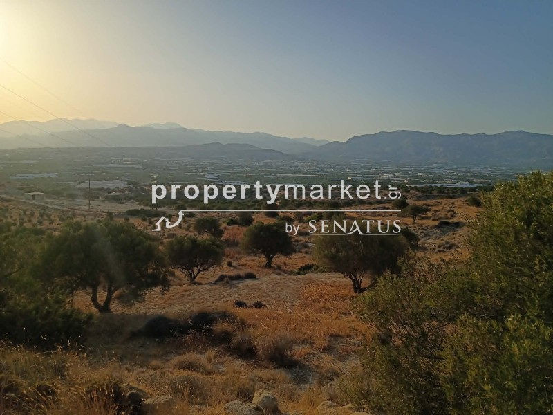 Οικόπεδο 6.475 τ.μ. προς πώληση, Κέντρο Ιεράπετρας