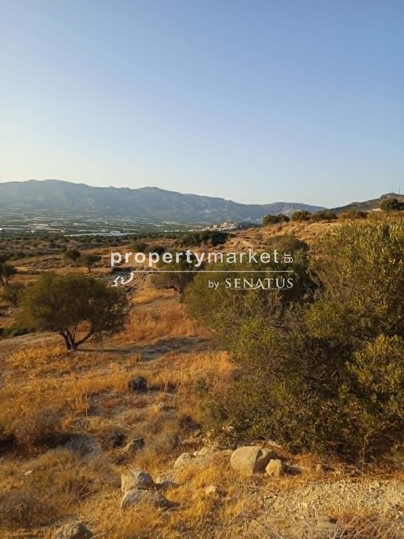 Οικόπεδο 6.475 τ.μ. προς πώληση, Κέντρο Ιεράπετρας