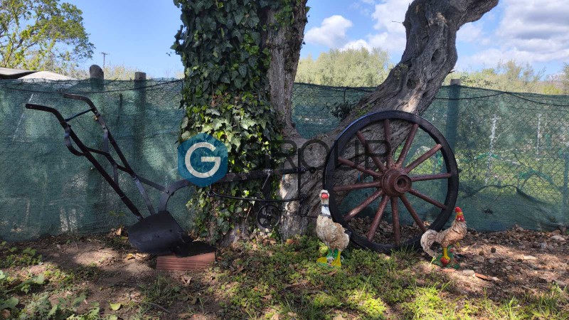 Μονοκατοικία 154 τ.μ. πρός πώληση, Εβρος, Αλεξανδρούπολη