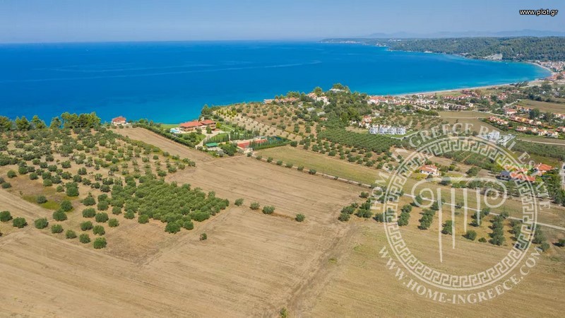 Αγροτεμάχια 9.900 τ.μ. πρός πώληση, Χαλκιδική, Κασσάνδρα