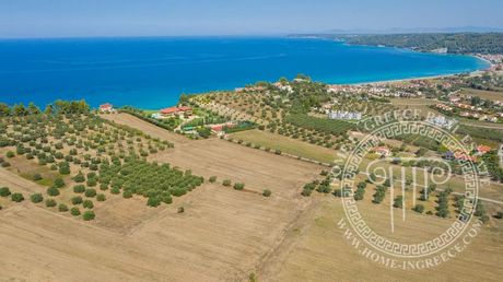 Αγροτεμάχια 9.900 τ.μ. πρός πώληση