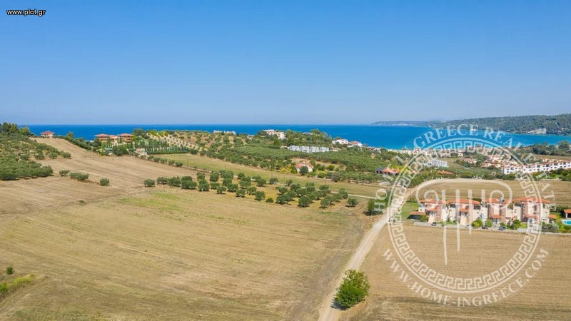 Αγροτεμάχια 9.900 τ.μ. πρός πώληση, Χαλκιδική, Κασσάνδρα