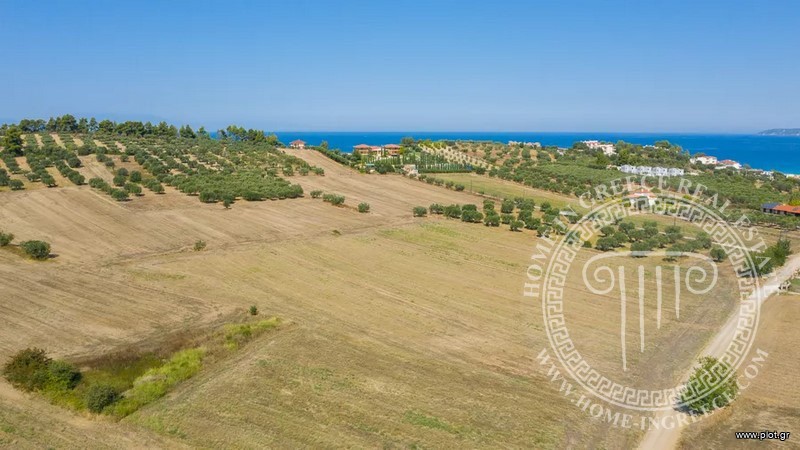 Αγροτεμάχια 9.900 τ.μ. πρός πώληση, Χαλκιδική, Κασσάνδρα