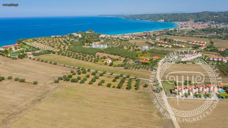 Αγροτεμάχια 9.900 τ.μ. πρός πώληση, Χαλκιδική, Κασσάνδρα