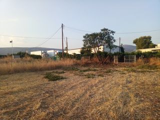 Οικόπεδο 734 τ.μ. για πώληση, Αργολίδα, Ασίνη-thumb-4