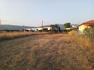 Οικόπεδο 734 τ.μ. για πώληση, Αργολίδα, Ασίνη-thumb-5
