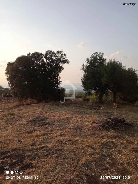 Οικόπεδο 3.578 τ.μ. για πώληση, Αχαΐα, Μεσσατίδα