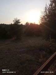 Οικόπεδο 3.578 τ.μ. για πώληση, Αχαΐα, Μεσσατίδα-thumb-4