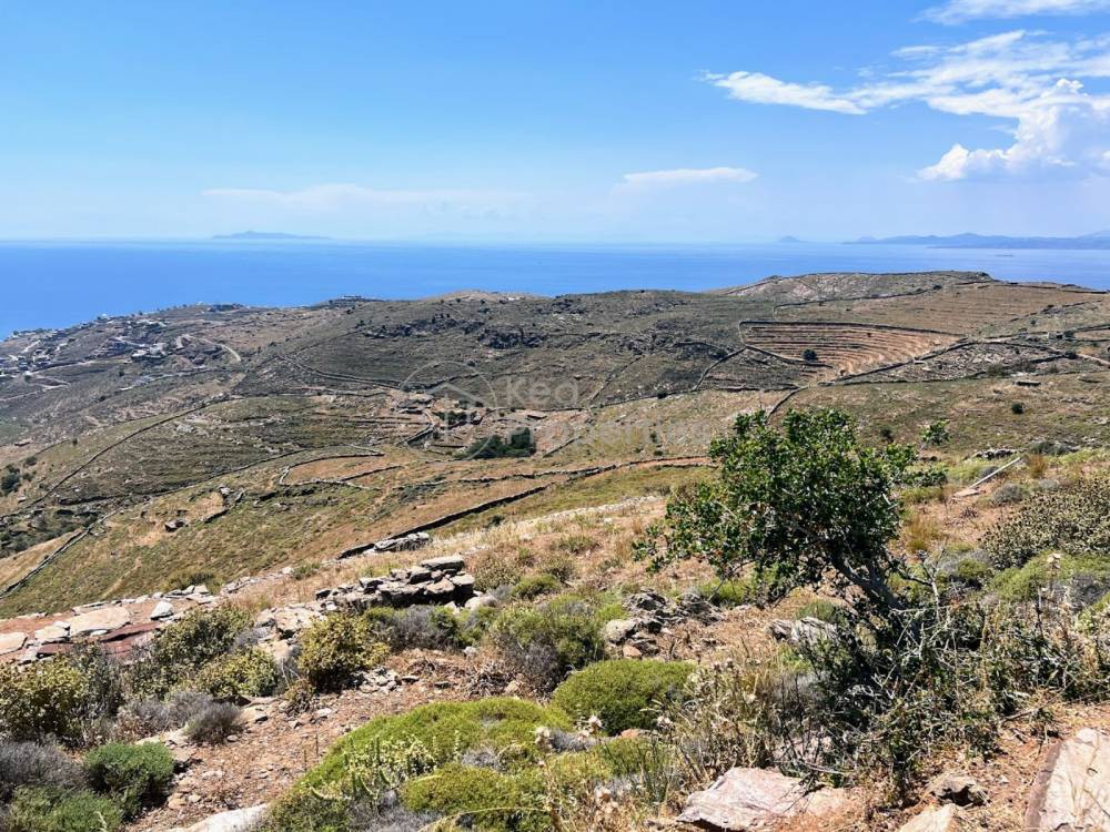 Αγροτεμάχια 11.500 τ.μ. προς πώληση, Κυκλάδες, Κέα