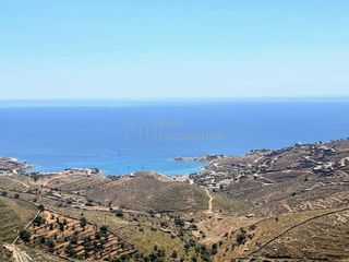 Αγροτεμάχια 11.500 τ.μ. για πώληση