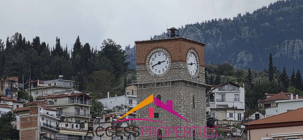 Γραφείο 193 τ.μ. πρός πώληση, Βοιωτία, Λιβαδειά