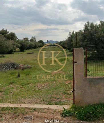 Οικόπεδο 9.623 τ.μ. για πώληση, Αθήνα - Ανατολικά Προάστια, Κορωπί