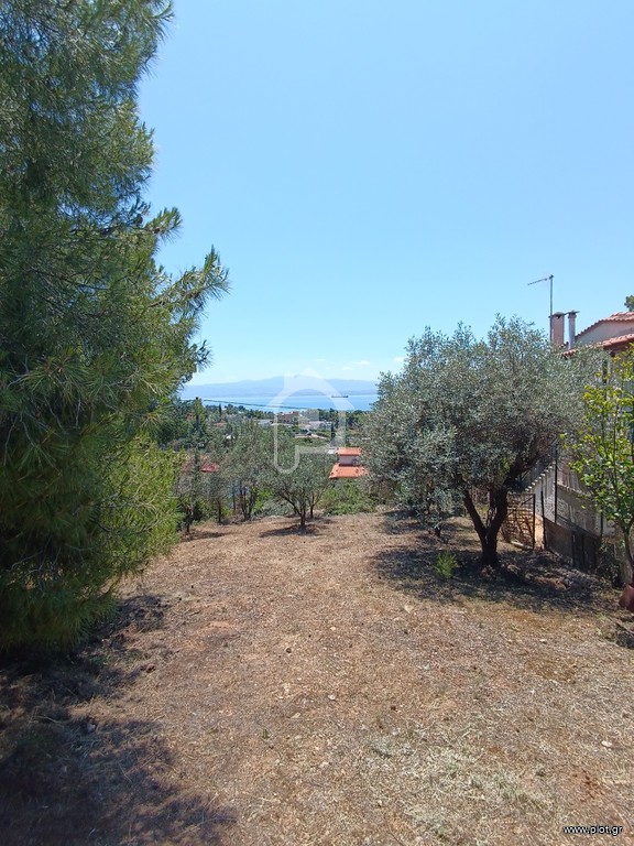 Οικόπεδο 492 τ.μ. προς πώληση, Μαλακώντα
