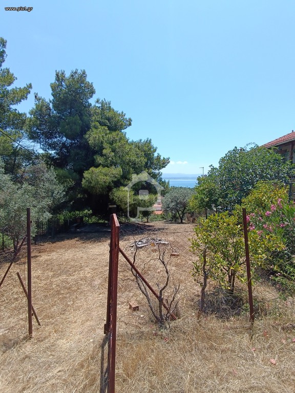Οικόπεδο 492 τ.μ. προς πώληση, Μαλακώντα