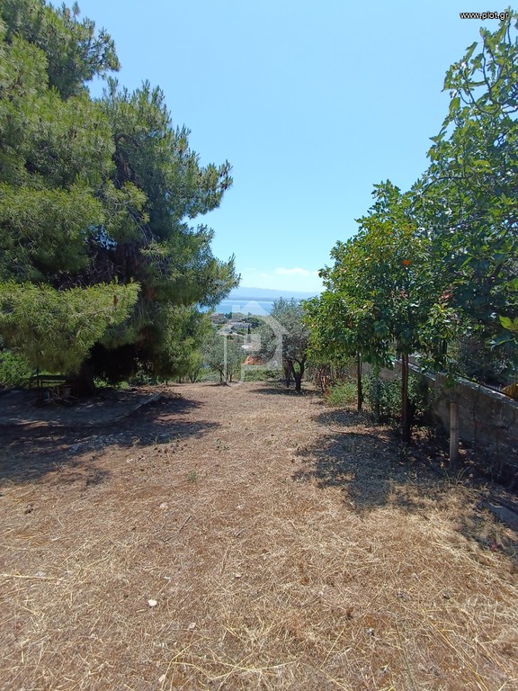 Οικόπεδο 492 τ.μ. προς πώληση, Μαλακώντα