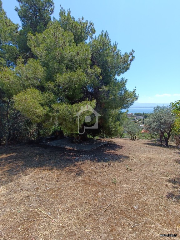 Οικόπεδο 492 τ.μ. προς πώληση, Μαλακώντα