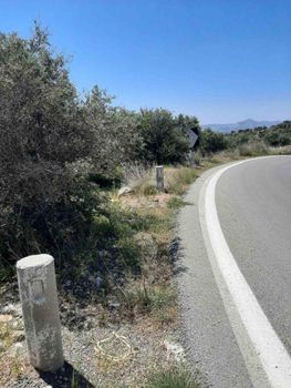 Αγροτεμάχια 4.300 τ.μ. πρός πώληση