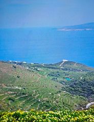 Οικόπεδο 9.489 τ.μ. για πώληση