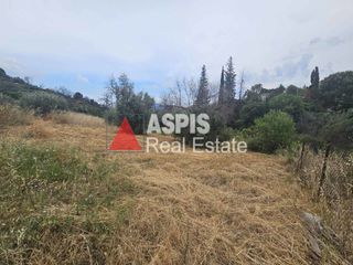 Αγροτεμάχια 1.535 τ.μ. για πώληση