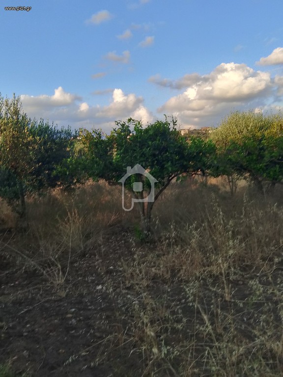 Αγροτεμάχια 6.000 τ.μ. πρός πώληση, Ν. Ρεθύμνου, Γεροπόταμος