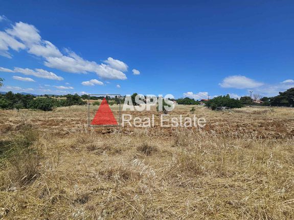 Land plot 8.024 sqm for sale, Rest Of Attica, Com. Kapandriti