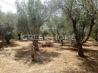 Οικόπεδο 375 τ.μ. για πώληση